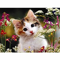 Flowery Kitty 300 pc Puzzle