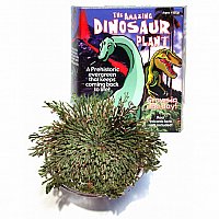Amazing Dinosaur Plant