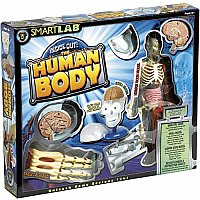 Inside Out! The Human Body
