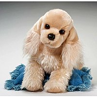 Curly Cocker Spaniel