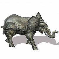 Mega Wild Animals 3D Puzzles