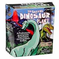 Amazing Dinosaur Plant