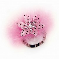 Feather Fashions