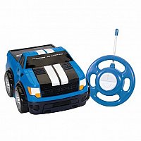 My 1st RC Go Go Ford F-150 Pick Up