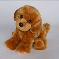 Sunny Golden Retriever
