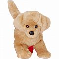 Bella Golden Retriever