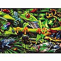 Amazing Amphibians 35 Pc Puzzle