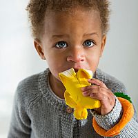 Oli & Carol Ana Banana Teether