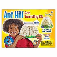 Insect Lore Ant Hill
