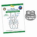 Insect Lore Ant Hill