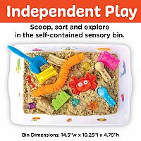 Sensory Bin - Beach