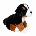 Bowie Bernese Mountain Dog