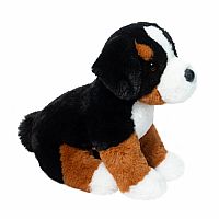 Bowie Bernese Mountain Dog