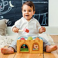 Little Castle Pound & Roll Toy