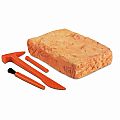 Cave Man Excavation Kit Homo Neanderthalensis Skeleton