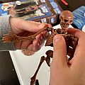 Cave Man Excavation Kit Homo Neanderthalensis Skeleton