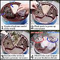 Climate Change Environmental Science Kit