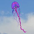 Cool Jellyfish Kite