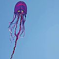 Cool Jellyfish Kite