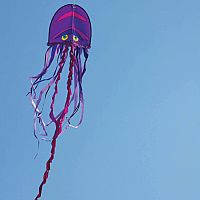 Cool Jellyfish Kite