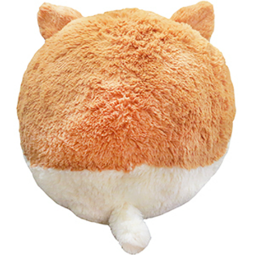 squishable avocado corgi
