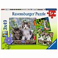 Cuddly Tiger Kittens 3x49 Piece Puzzle