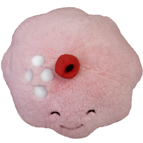 squishables cupcake
