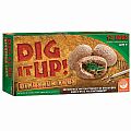 Dig It Up! Dinosaur Eggs