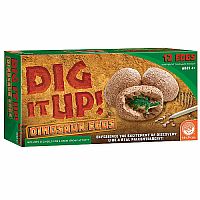 Dig It Up! Dinosaur Eggs