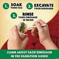 Dig It Up! Dinosaur Eggs