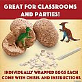 Dig It Up! Dinosaur Eggs