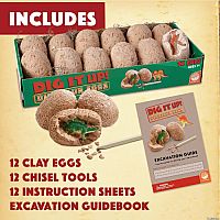 Dig It Up! Dinosaur Eggs