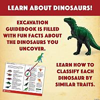 Dig It Up! Dinosaur Eggs