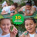 Wow In World Dino Dig & Diorama