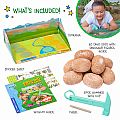 Wow In World Dino Dig & Diorama