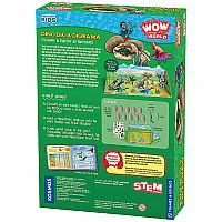 Wow In World Dino Dig & Diorama