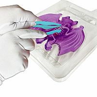 Dissect It - Bat Lab