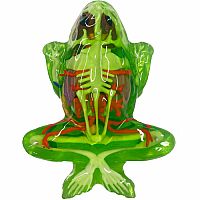 Dissect -It Frog Super Lab