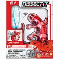 Dissect It - Salamander Lab