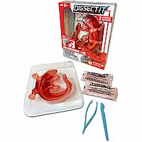Dissect It - Salamander Lab