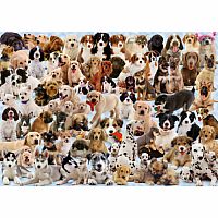 Dogs Galore! 1000 Piece Puzzle