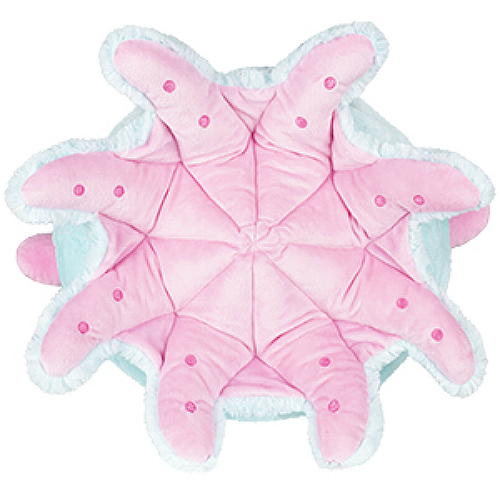 squishable blue octopus