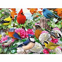 Garden Birds 500 pc Puzzle
