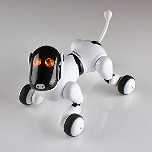 interactive gizmo toy
