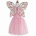 Gold Butterfly Dress with Fairy Wings  Sz 5-7