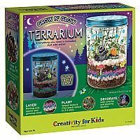 Grow N' Glow Terrarium