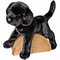 James Black Lab