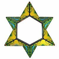 Shashibo - The Shape Shifting Box - Jungle
