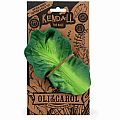 Oli & Carol Kendall the Kale Teether