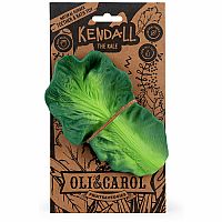Oli & Carol Kendall the Kale Teether